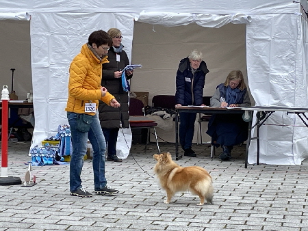 193F9365-0EE2-4F52-BCA2-004D1C854586_1_105_c 193F9365-0EE2-4F52-BCA2-004D1C854586_1_105_c