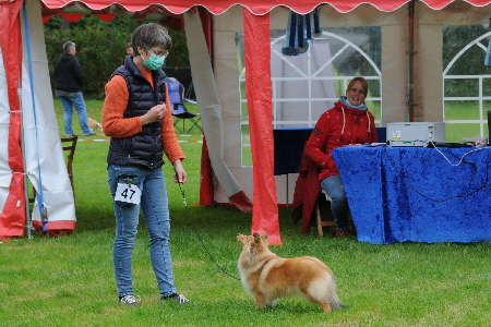 DSC_7059_DSC_7059 DSC_7059_DSC_7059