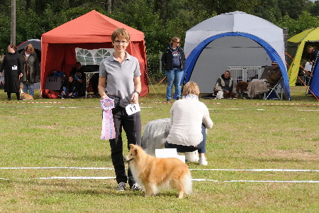 DSC_9216_Rana Best Vet. in Show DSC_9216_Rana Best Vet. in Show