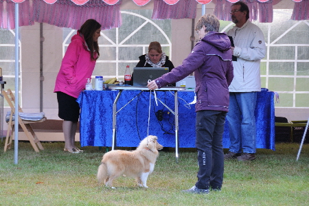 DSC_9229_Mina Best Puppy in Show DSC_9229_Mina Best Puppy in Show