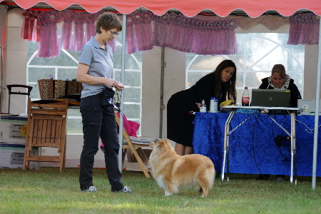 DSC_9278_Hailey BOB DSC_9278_Hailey BOB