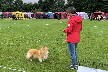 Hailey BOB Hailey BOB