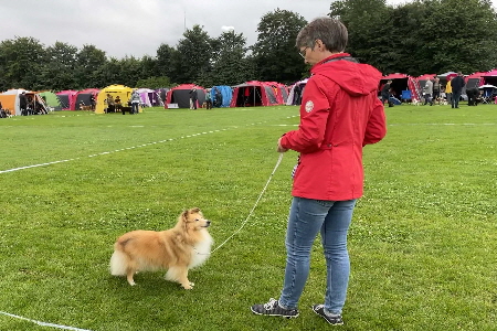 Rana BOS 2 u. BOB Veteran Rana BOS 2 u. BOB Veteran