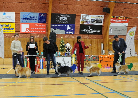 DSC_9696_008DSC_9696Hailey Beste Hündin