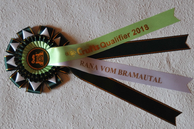 Qualifier Rana vom Bramautal DSC_0623