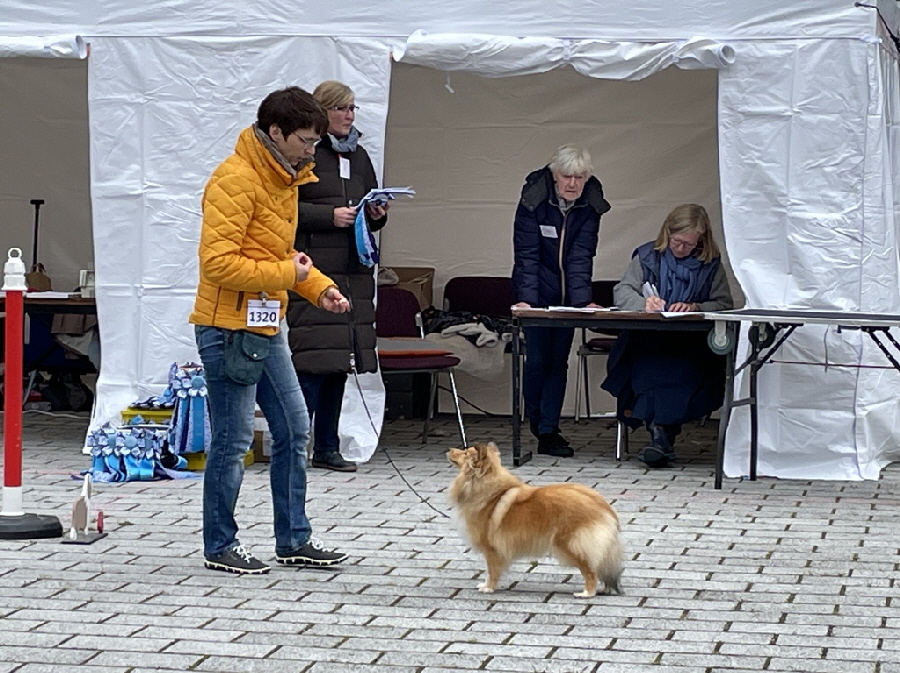 193F9365-0EE2-4F52-BCA2-004D1C854586_1_105_c