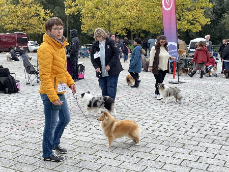 B6A67A74-A402-49F1-AA52-37BAD6788C60_1_105_c