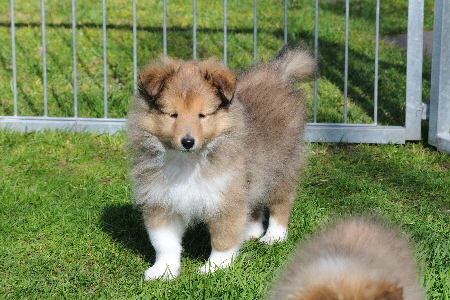 DSC_7846_Wilke-7 Wochen