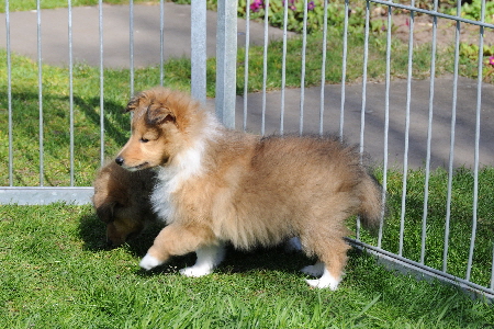 DSC_7863_Wilma-7 Wochen