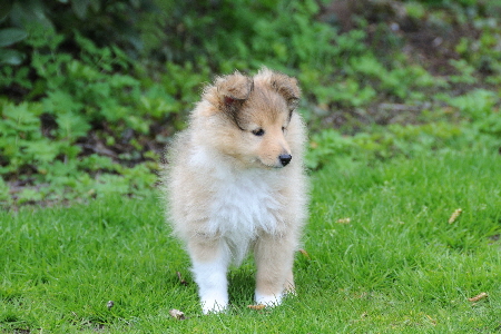 DSC_7904_Wolke-8 Wochen