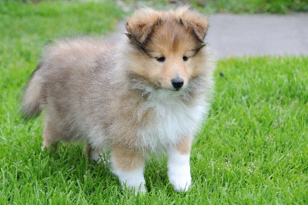 DSC_7910_Wilke-8 Wochen