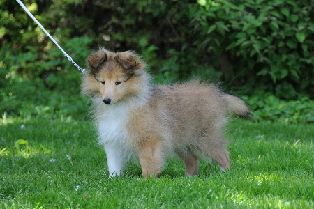 DSC_7977_Wilhelmine-10 Wochen