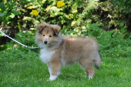 DSC_8062_Wilke-10 Wochen