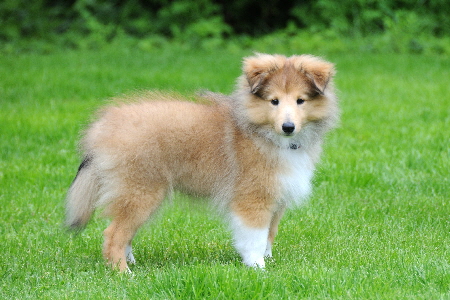 DSC_8177_Wilke 13Wochen