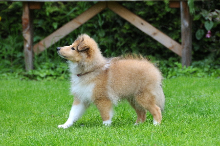 DSC_8213_Wilke 13Wochen