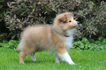 DSC_8232_Wilke 13Wochen