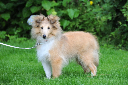 DSC_8665_Wilma 4 Monate