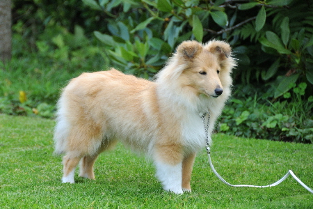 DSC_8788_Wolke 5 Monate