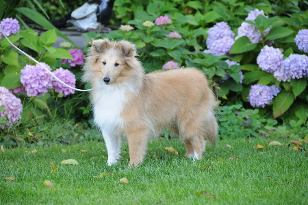 DSC_8816_Wilma 5 Monate