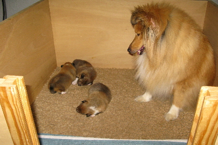 IMG_0220_W-Wurf 2. Woche