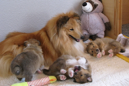 IMG_0322_W-Wurf 28 .Tag