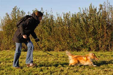 2-Mantrailing-DSC_3304-378