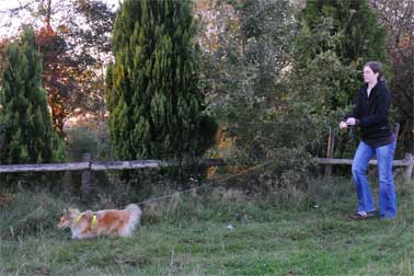 4-Mantrailing-DSC_3354-378