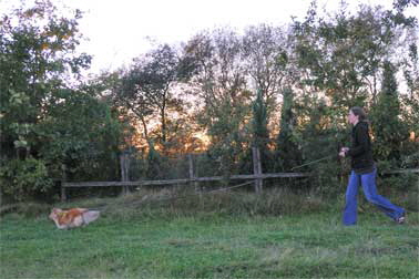 5-Mantrailing-DSC_3356-378