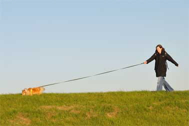 8-Mantrailing-DSC_3312-378