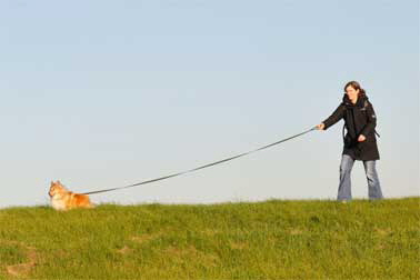 9-Mantrailing-DSC_3311-378