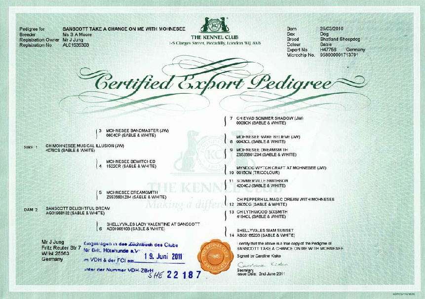 Ahnentafel-Todd-1024