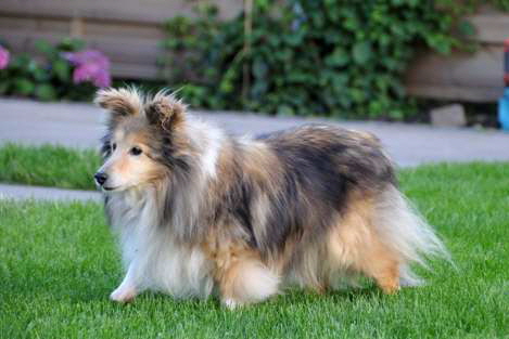 Carina-18-Jahre-alt2DSC_7591-470 Carina-18-Jahre-alt2DSC_7591-470