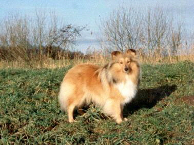 Melissa-12_edited-10x13