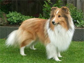 Melwin-170 Melwin-170