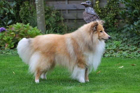 Todd 9-17-DSC_0009_00001 Todd 9-17-DSC_0009_00001