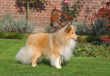 Todd DSC_8539_001378